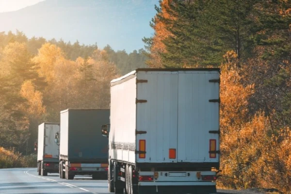 Ankara Dörtdivan Nakliyat